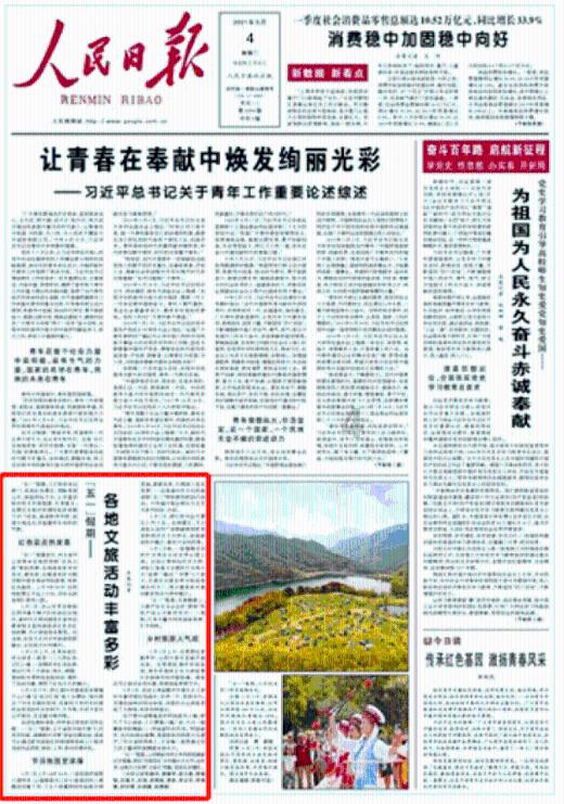 学习插花艺术